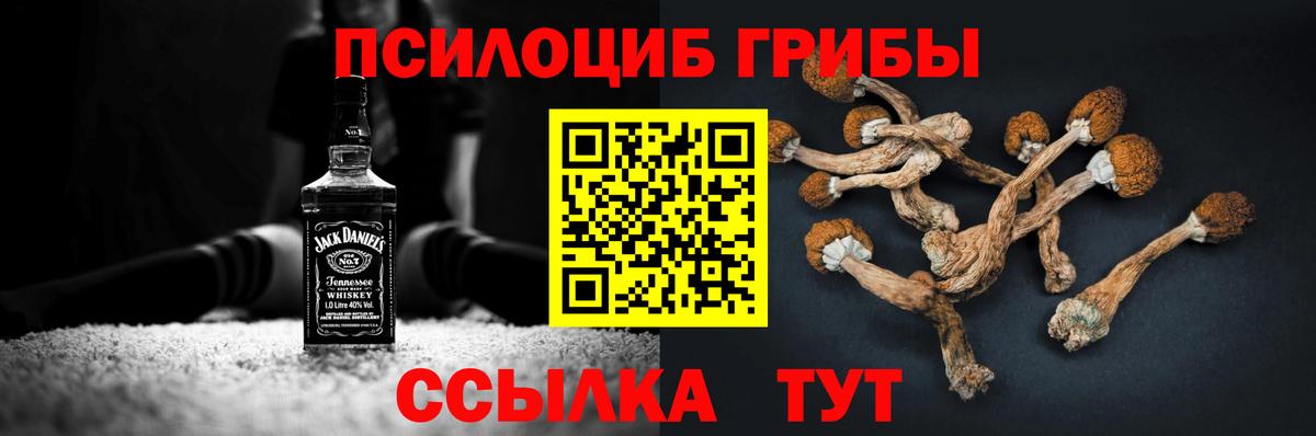 Псилоцибиновые грибы мухоморы  Вход с VPN  цены   Новоуральск 